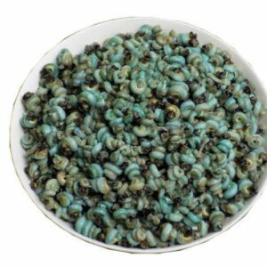 Dried periwinkle 100g