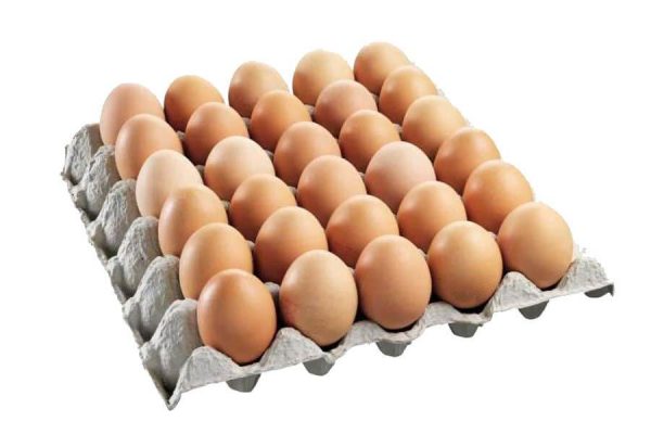 Organic Local brown eggs X 15