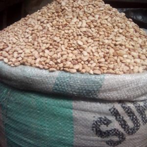Brown Beans Seed 10kg Bag