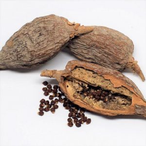 Red Kola Nuts (Oji Igbo)