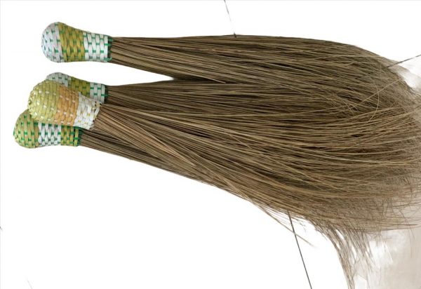 African Broomstick