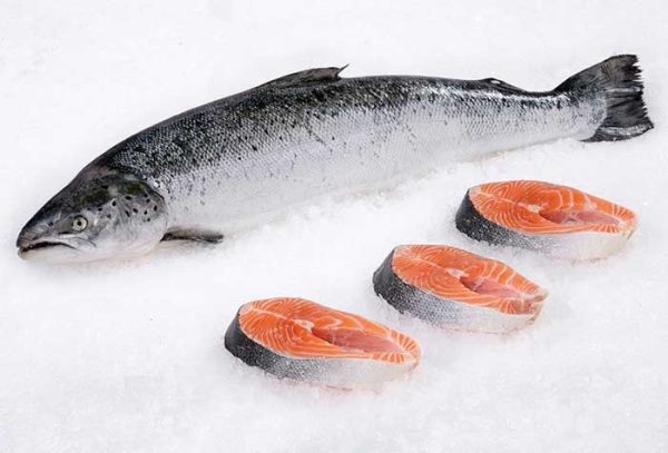 Whole Organic Salmon Fish 1kg