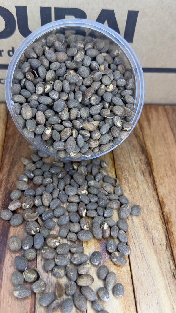 Miracle Seeds - Croton Seeds 50g - Image 3